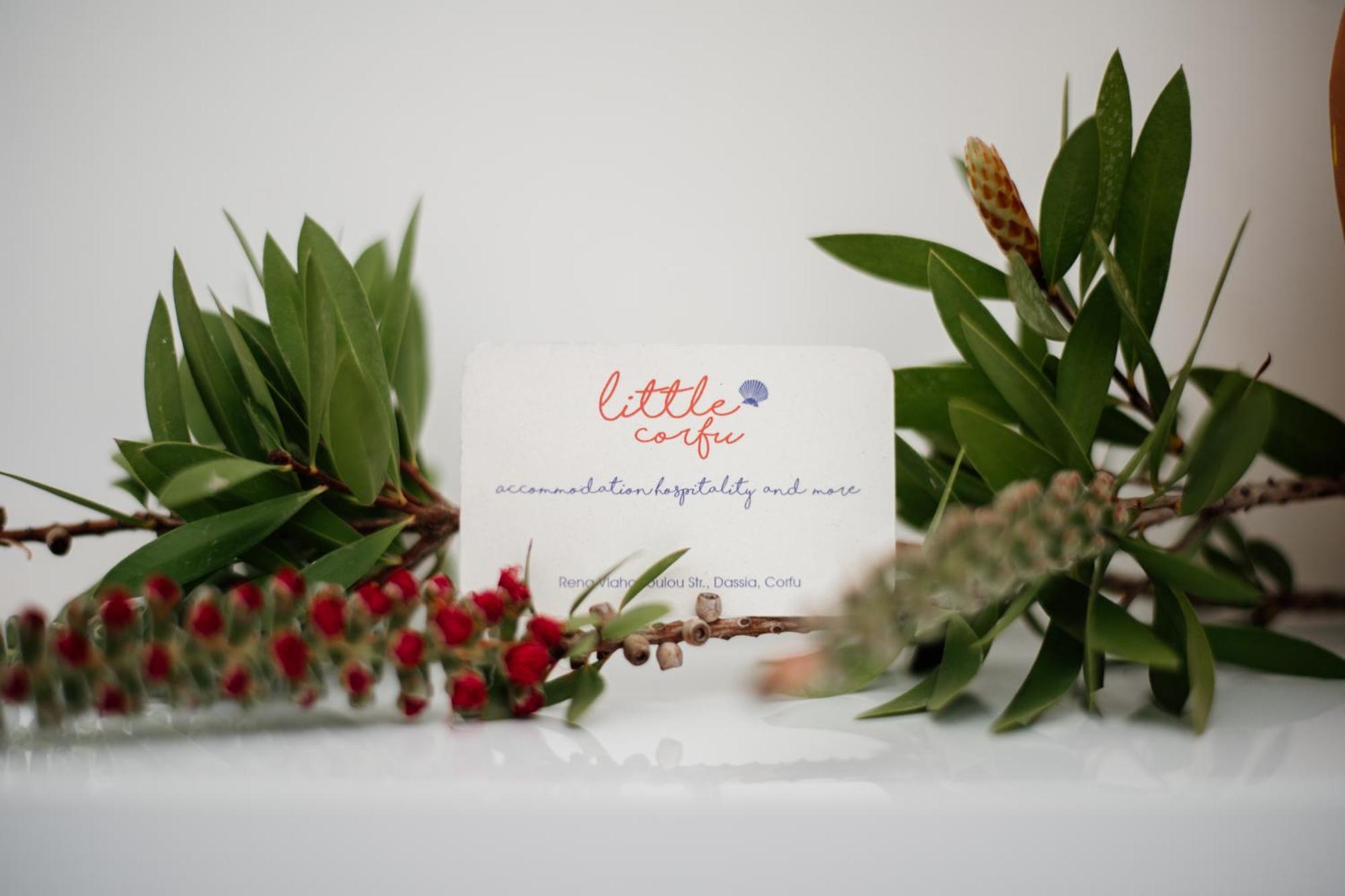 אפרטהוטל דאסיה Little Corfu מראה חיצוני תמונה