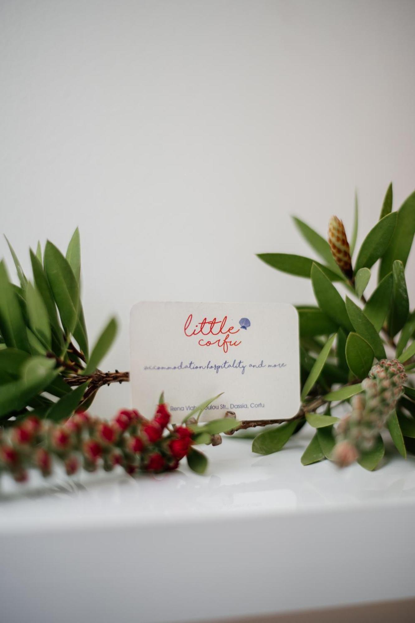 אפרטהוטל דאסיה Little Corfu מראה חיצוני תמונה
